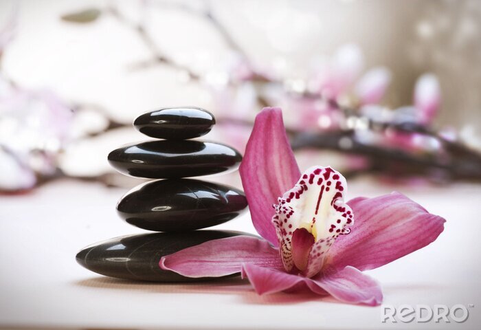 Papier peint  Pierres Spa