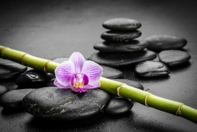 Sticker  pierres zen