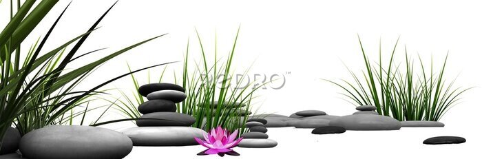Papier peint  Pierres zen avec un lotus et de l'herbe verte