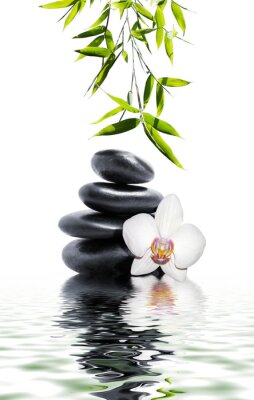 Pierres zen et orchidée sur l'eau