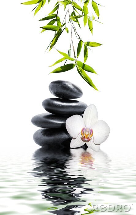Papier peint  Pierres zen et orchidée sur l'eau