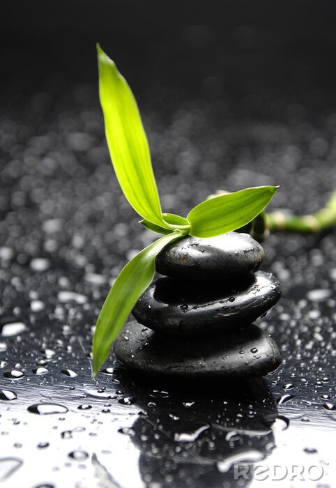 Papier peint  Pierres zen parmi les gouttes d'eau