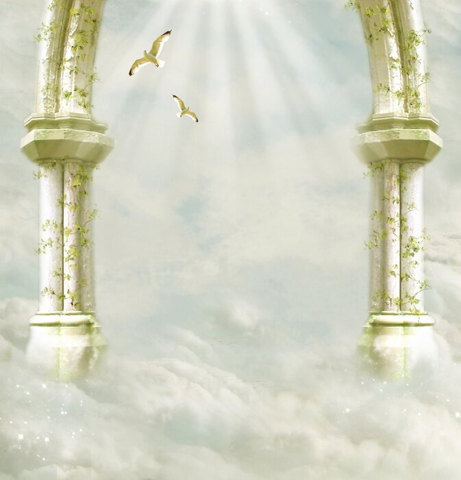 Papier peint  Pigeons blancs sur fond de nuages