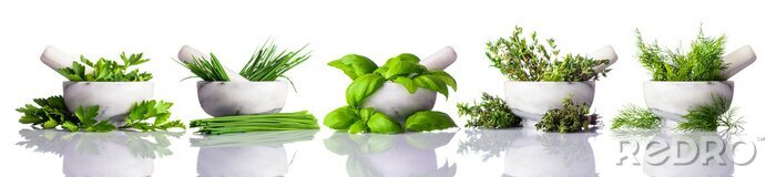 Papier peint  Pilon, mortier, vert, herbes, blanc, fond