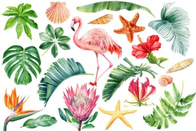 Papier peint  Pink flamingos, seashells, starfish, flowers and leaves watercolor. Beach tropical floral, jungle design