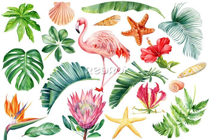 Papier peint  Pink flamingos, seashells, starfish, flowers and leaves watercolor. Beach tropical floral, jungle design