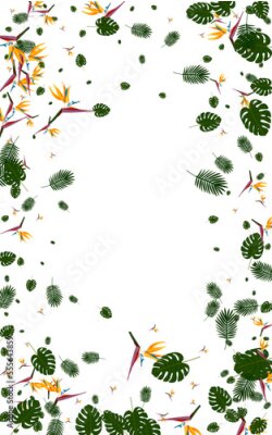 Papier peint  Pink Flora Background White Vector. Strelitzia Realistic Card. Green Monstera. Paradise Texture. Yellow Wrapping Frame.