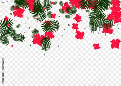 Papier peint  Pink Hibiscus Background Transparent Vector. Plant Abstract Design. Orange Strelitzia. Fashion Texture. Light Green Spring Card.