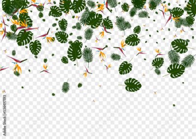 Papier peint  Pink Leaf Background Transparent Vector. Strelitzia Popular Card. Green Tree. Safari Design. Light Green Vacation Pattern.