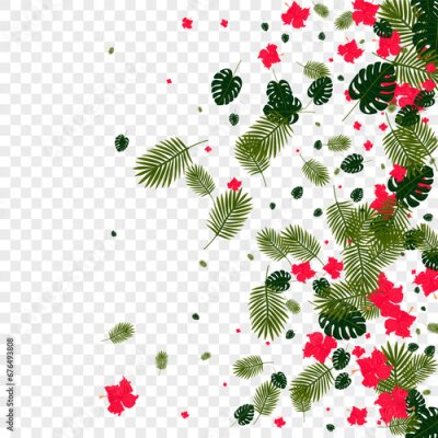 Papier peint  Pink Leaf Background Transparent Vector. Strelitzia Spring Texture. Yellow Hibiscus. Hawaiian Illustration. Light Green Bright Design.