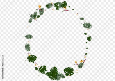 Papier peint  Pink Leaves Background Transparent Vector. Strelitzia Fashion Design. Light Green Plant. Drawing Texture. Red Botany Pattern.