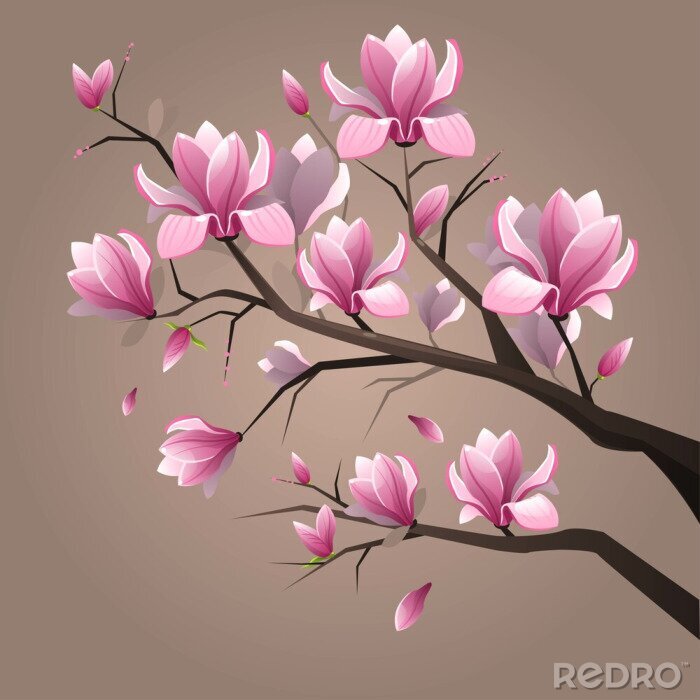 Papier peint  Pink magnolia flowers