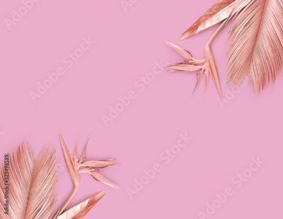 Papier peint  Pink palm leaves with pink strelitzia flower. 