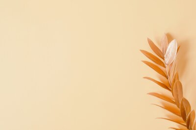 Papier peint  Pink palm leaves with pink strelitzia flower. 