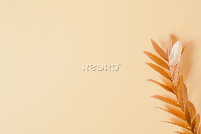 Papier peint  Pink palm leaves with pink strelitzia flower. 