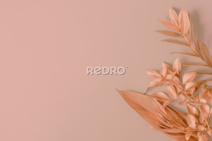 Papier peint  Pink palm leaves with pink strelitzia flower. 