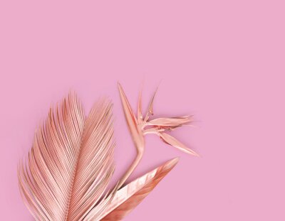 Papier peint  Pink palm leaves with pink strelitzia flower. Pink background.