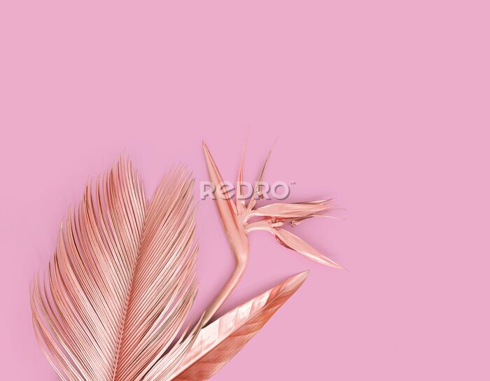 Papier peint  Pink palm leaves with pink strelitzia flower. Pink background.