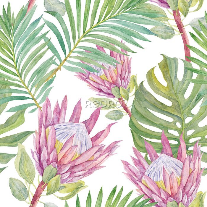 Papier peint  Pink protea flowers and tropical leaves. Watercolor seamless pattern.