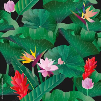 Papier peint  Pink, red, yellow aquatic and tropical flowers with large green leaves on a black background. Vector illustration. Seamless pattern. Picture with lilies and strelitzia.