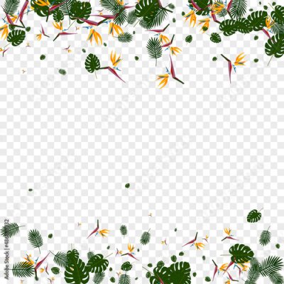 Papier peint  Pink Strelitzia Background Transparent Vector. Philodendron Holiday Card. Orange Flora. Tropical Frame. Light Green Abstract Pattern.