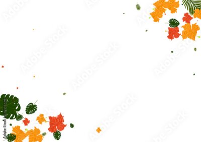 Papier peint  Pink Strelitzia Background White Vector. Foliage Botany Texture. Yellow Leaves. Vintage Frame. Red Branch Illustration.