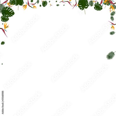 Papier peint  Pink Strelitzia Background White Vector. Leaf Nature Backdrop. Red Philodendron. Island Illustration. Green Decoration Design.