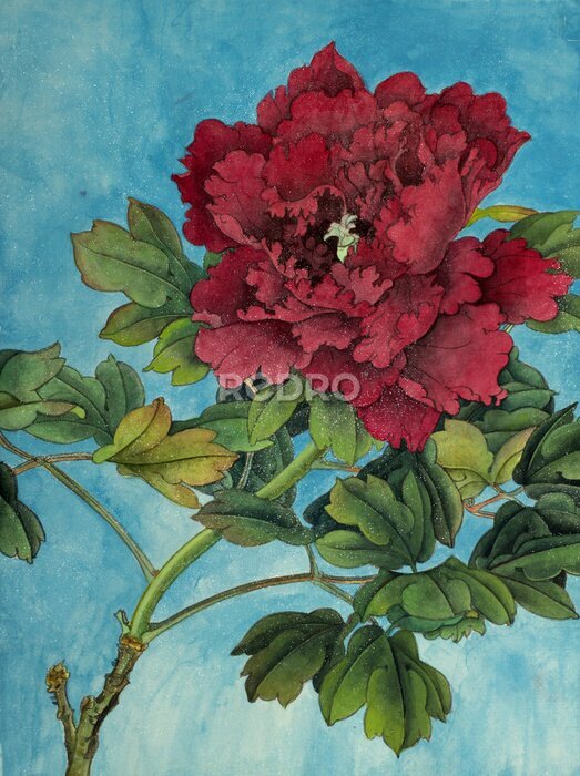 Papier peint  Pivoine rouge