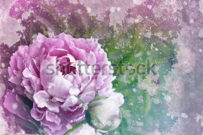 Papier peint  Pivoine sur un vieux mur