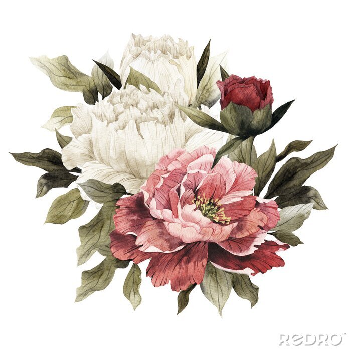 Papier peint  Pivoines multicolores dans un bouquet