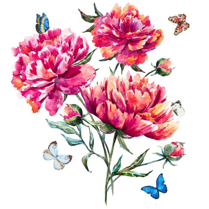 Papier peint  Pivoines peintes et papillons