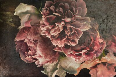 Pivoines Romantiques sur Fond Sombre