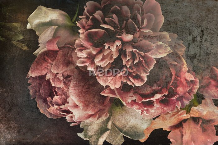 Papier peint  Pivoines Romantiques sur Fond Sombre