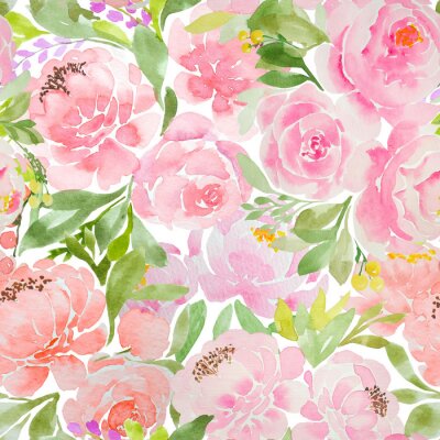 Pivoines roses peintes ? l'aquarelle graphique romantique