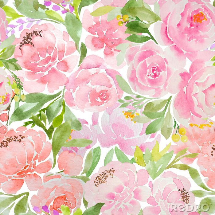 Papier peint  Pivoines roses peintes ? l'aquarelle graphique romantique