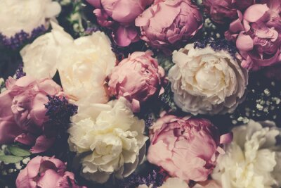Pivoines vintage blanches et roses