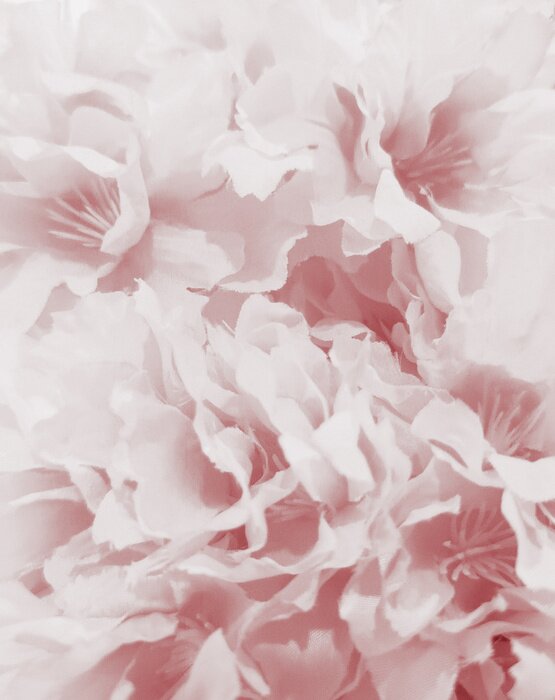 Papier peint  Pivoines vintage roses