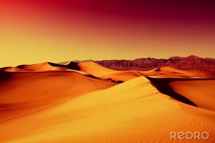 Papier peint  Pizza tranchée