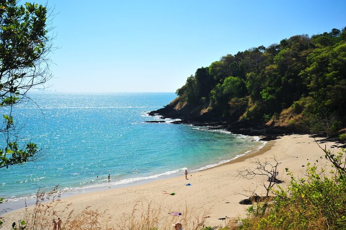 Papier peint  Plage de la mer et côte verte