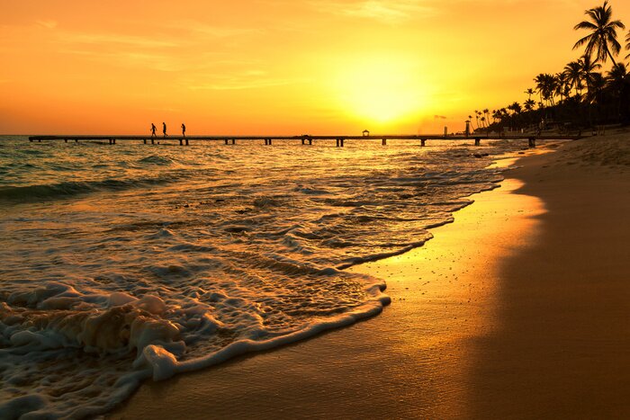 Papier peint  Plage de palmiers et de la mer des Caraïbes
