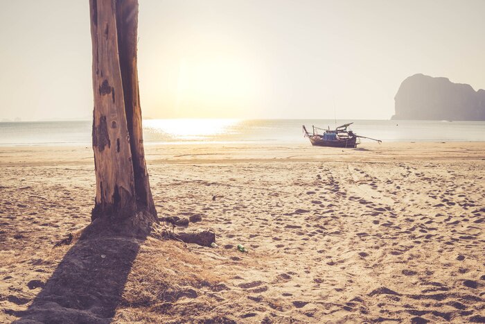 Papier peint  Plage et bois
