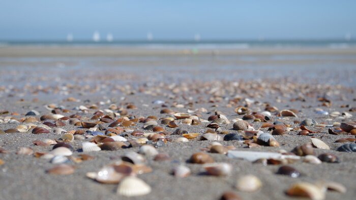 Papier peint  Plage et pierres