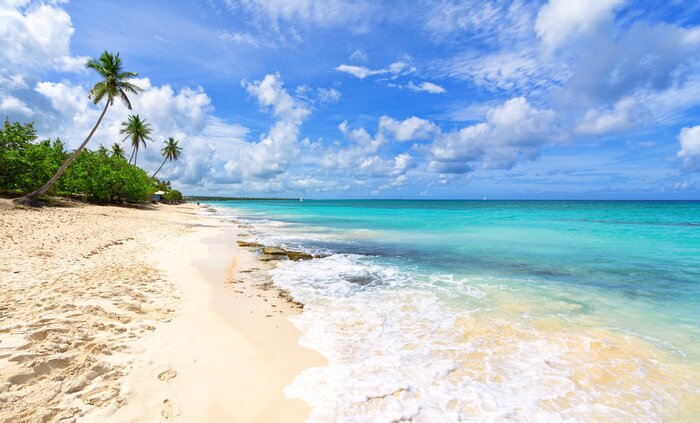 Papier peint  Plage exotique en République dominicaine