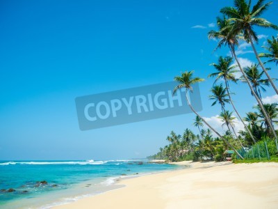 Papier peint  Plage tropicale au Sri Lanka