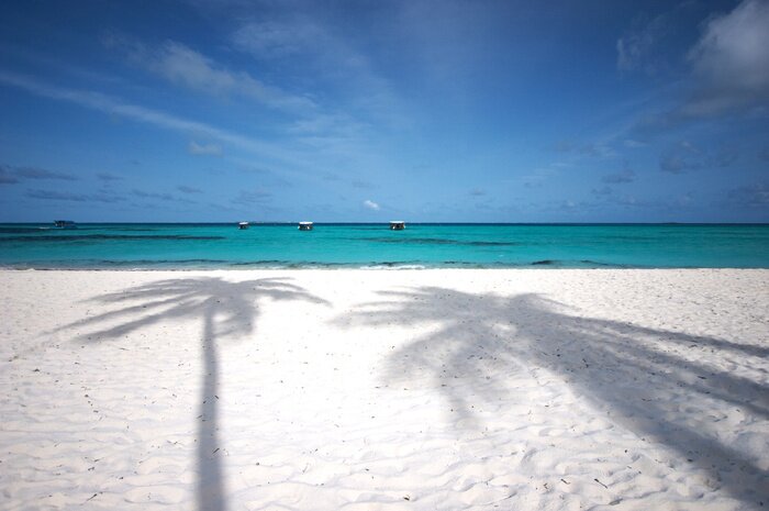 Papier peint  Plage tropicale et mer