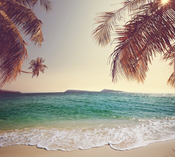 Papier peint  Plage tropicale vintage