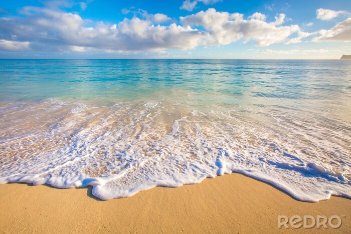 Papier peint  Plages de Hawaii