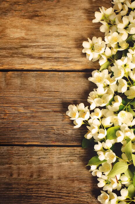 Papier peint  Planches et nature