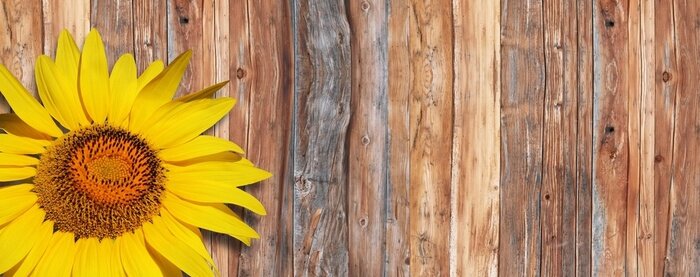 Papier peint  Planches et tournesol