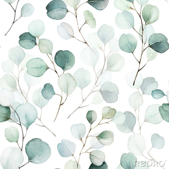 Papier peint  Plante Eucalyptus